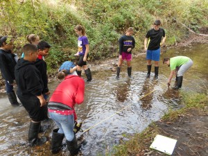 students in the stream