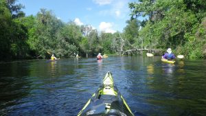 Find the Fox kayak trip