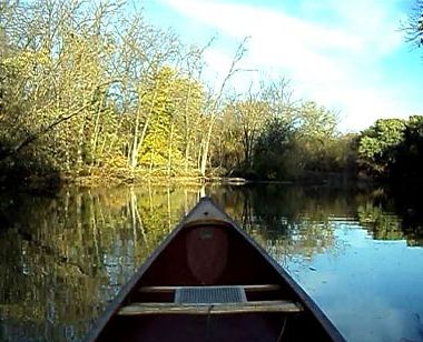 calm canoe shady shot