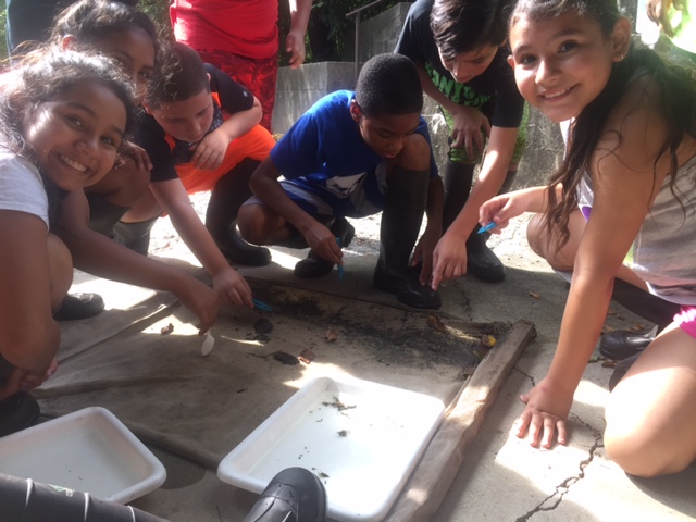 Students ID bugs