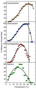 cyanobacteria graphs