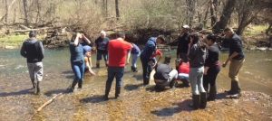 students in the stream