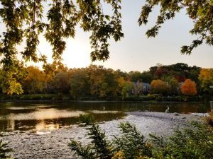 Fox River photo by Kylee Wells