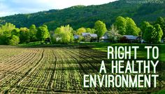 the right to a healthy environment