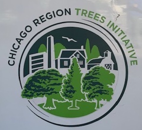 tree initiative logo