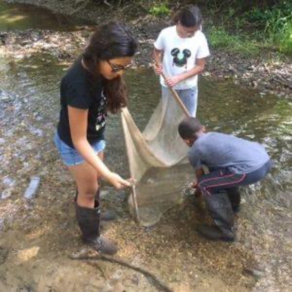 students in stream