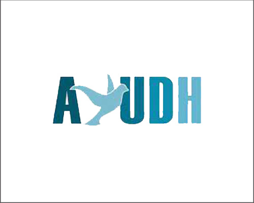 ayudh 1 logos border web