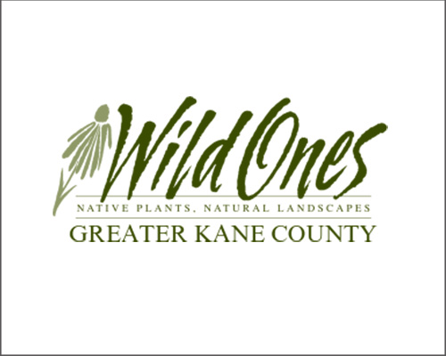wild ones logos border web