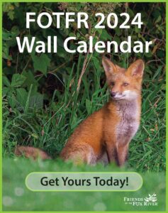 calendar 2024 popup hp