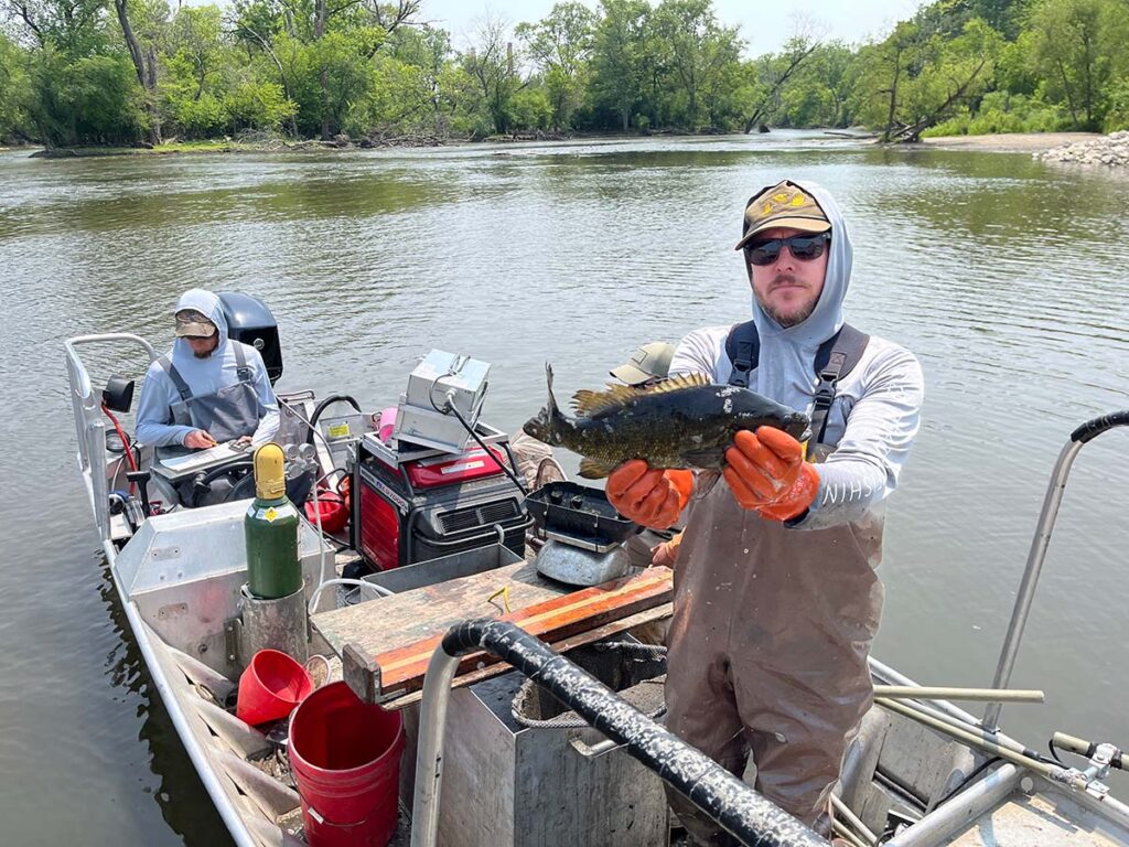 fox river study, dam removal