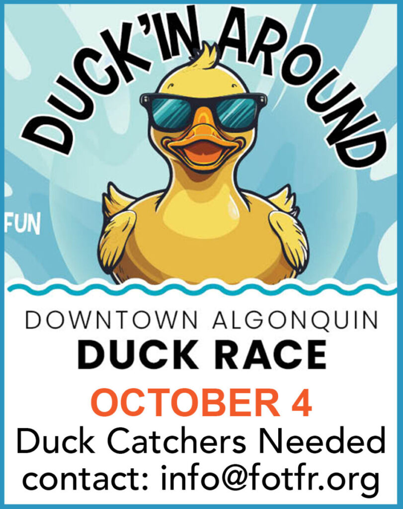 duck'in around popup 2