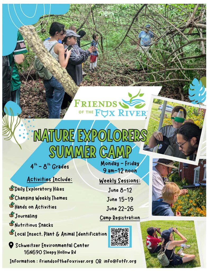 summer camp web