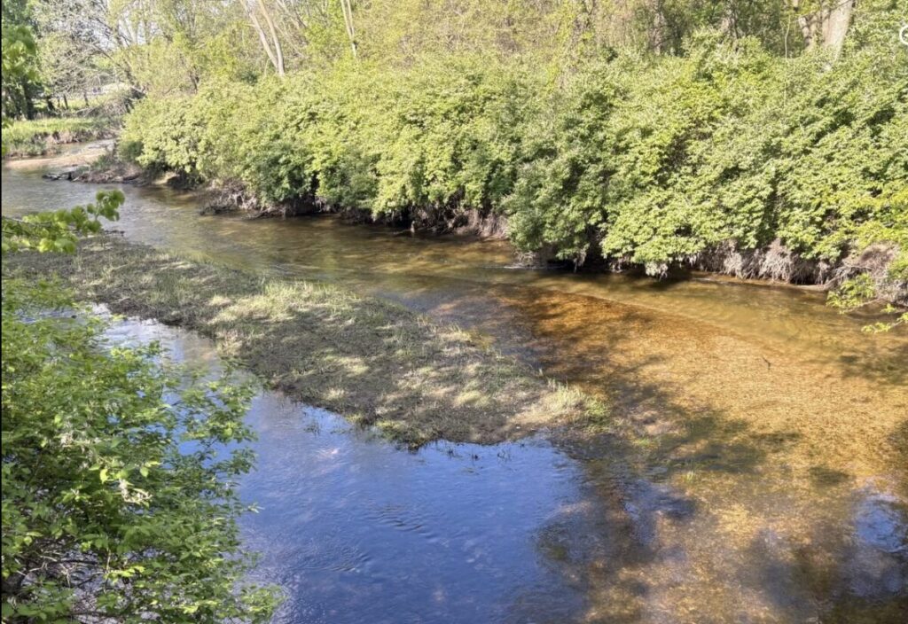 silver springs, yorkville